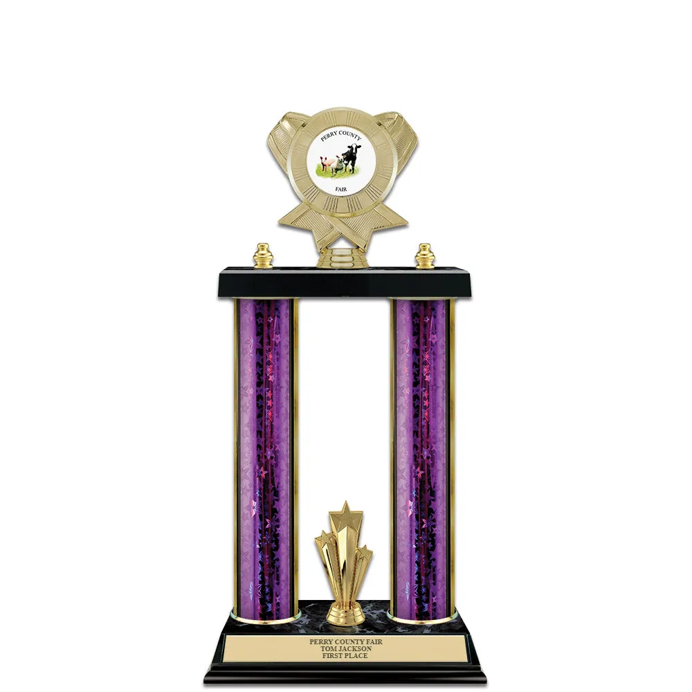 15" Custom 2 Column Award Trophy With Insert Top & Trim