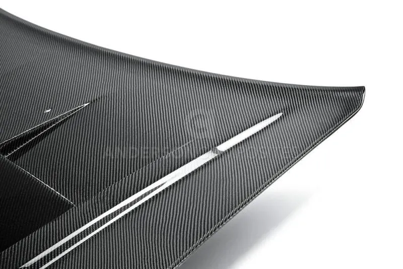 Anderson Composites 11-13 Dodge Charger Type-TS Hood