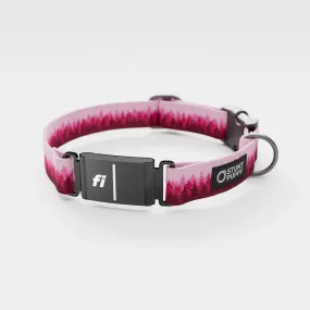 Fi GPS Included Pines Pink Everyday Collar (6 month subscription)