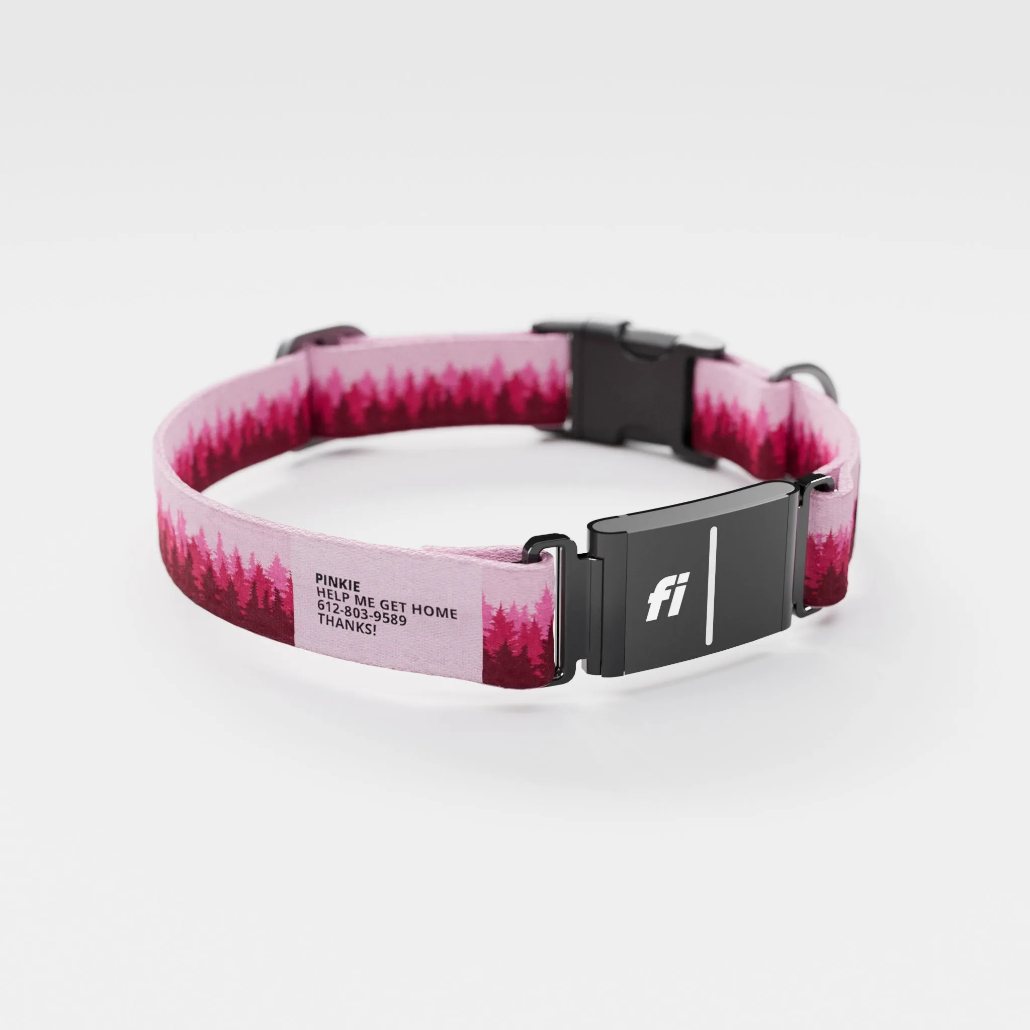 Fi GPS Included Pines Pink Everyday Collar (6 month subscription)