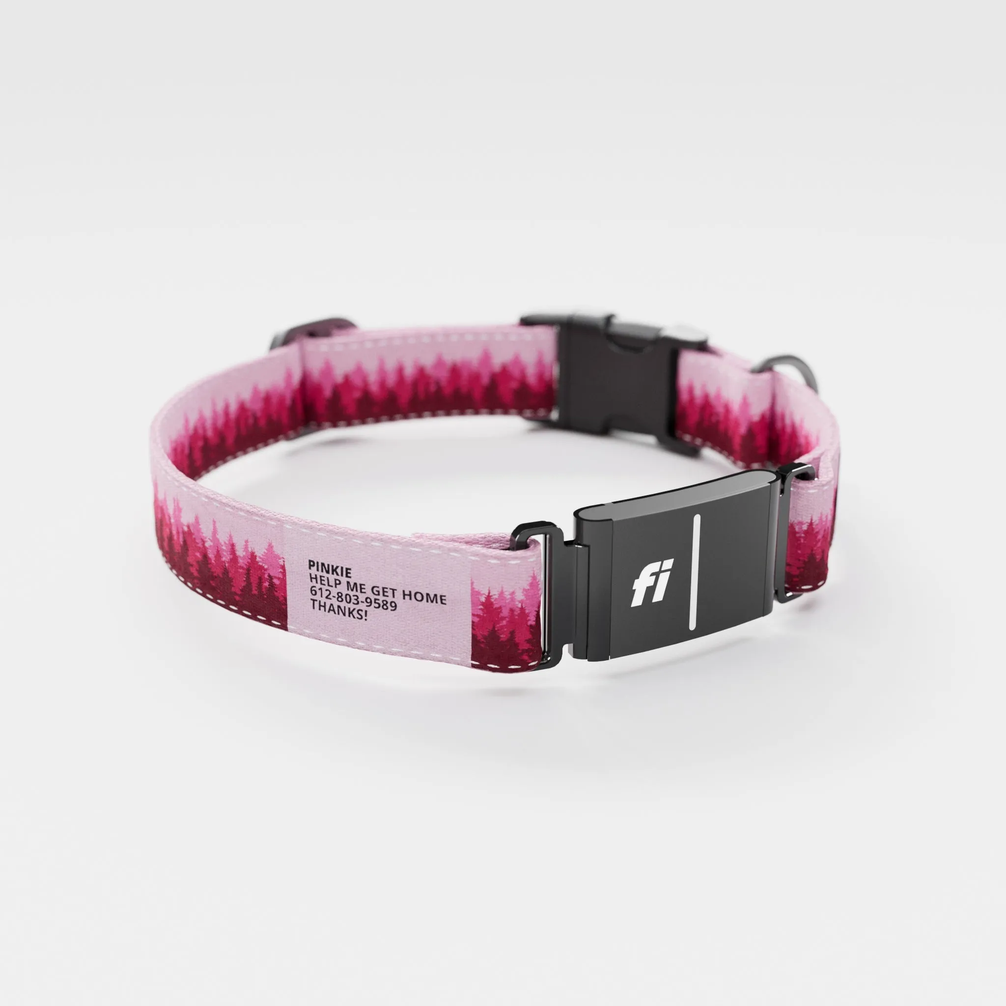 Fi GPS Included Pines Pink Everyday Collar (6 month subscription)