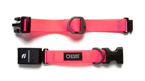 Fi GPS Included Pink Dry Collar™ (6 month subscription)