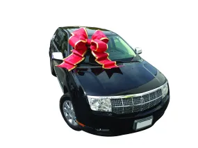 Giant Car Bow w/ Suction Cups