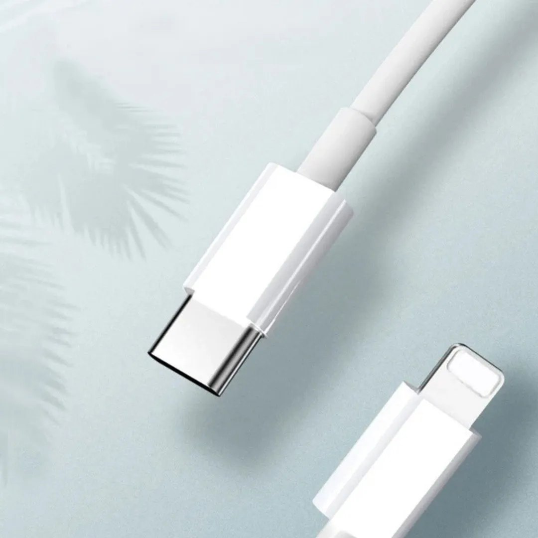 iPhone Type-C to Lightning Charging Cable